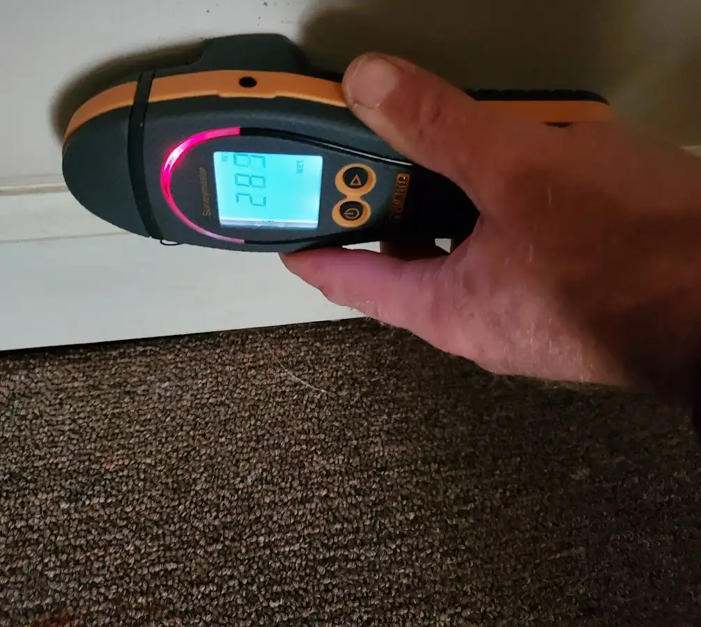 Moisture detection at baseboard during Mold Inspection & Testing in Mayfield
